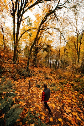 A man hiking through fallen leaves surrounded by fall foliage