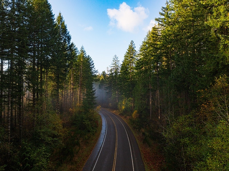 Aerial view car driving along the Thurston bountiful byway through the winding road and tall trees near Olympia WA
